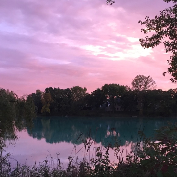 LavenderMoon11 - Picture 1 of 1